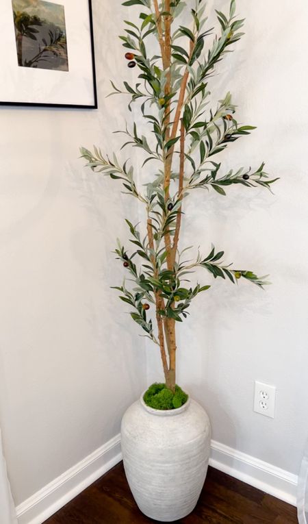 Vase is hobby lobby so I cannot link it. Nearly natural olive tree on sale now!

#LTKsalealert #LTKhome #LTKstyletip