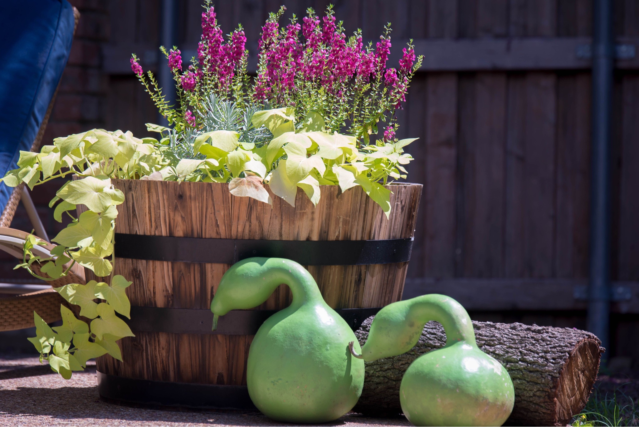 I love a barrel planter.  Is it too early to start planning the plants?

#LTKSeasonal #LTKhome #LTKstyletip