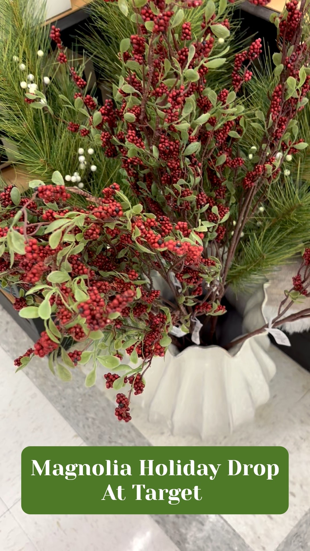 Target has started to put out the Magnolia line of Holiday items !

#LTKFindsUnder100 #LTKSeasonal #LTKHome