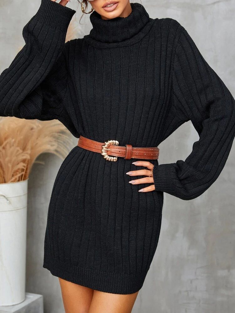 Ribbed Knit Turtleneck Sweater Dress Without Belt | SHEIN
