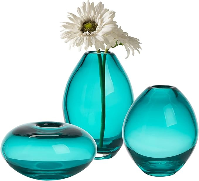 Torre & Tagus Mini Glass Vases | Art Glass Bud Vase Set of 3 Small Flower Vases for Home Decor, D... | Amazon (US)