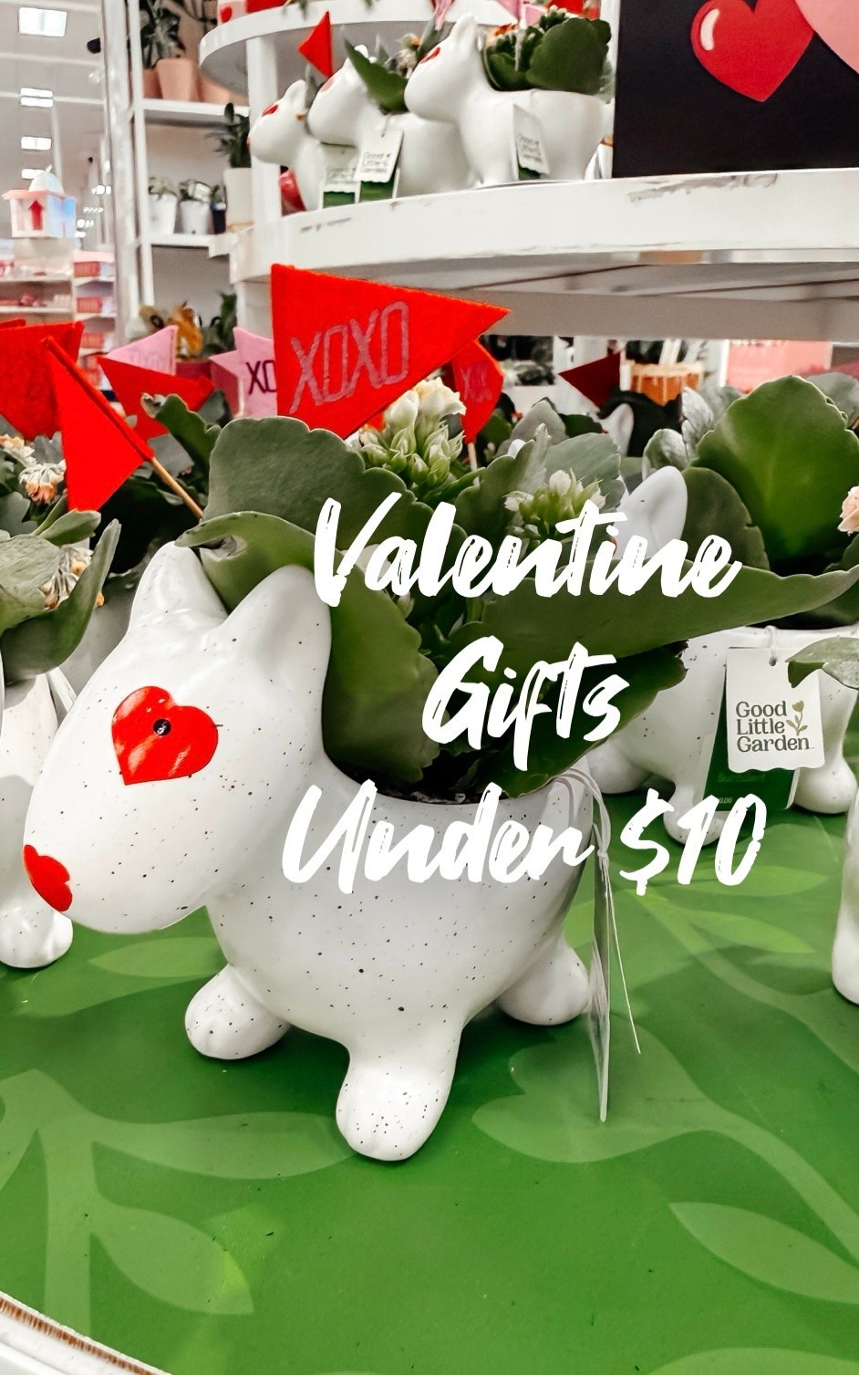 Looking for a Valentine’s gift that’s cute, affordable, and guaranteed to be a hit?

Small plants in the sweetest dog planters check all the boxes — and they’re all under $10! 🐶🌱

Perfect for friends, kids, coworkers, or anyone who could use a little extra love.



#ValentinesGiftIdeas
#ValentinesUnder10
#PlantGifts
#CuteGiftIdeas
#GiftInspo

#LTKValentine