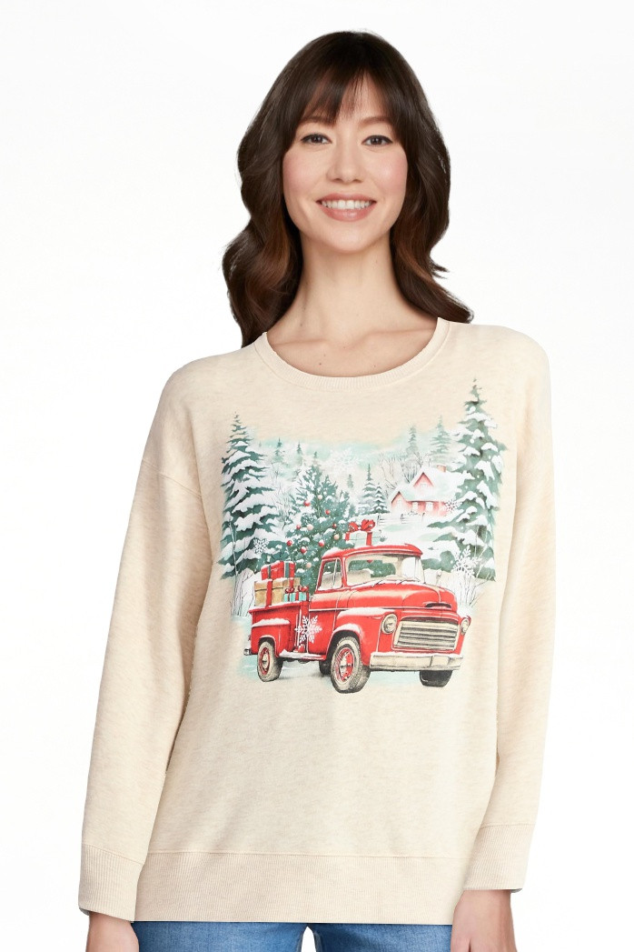 Women's Christmas Winter Cabin Graphic Fleece from Holiday Time, Sizes S-XXXL | Walmart (US)