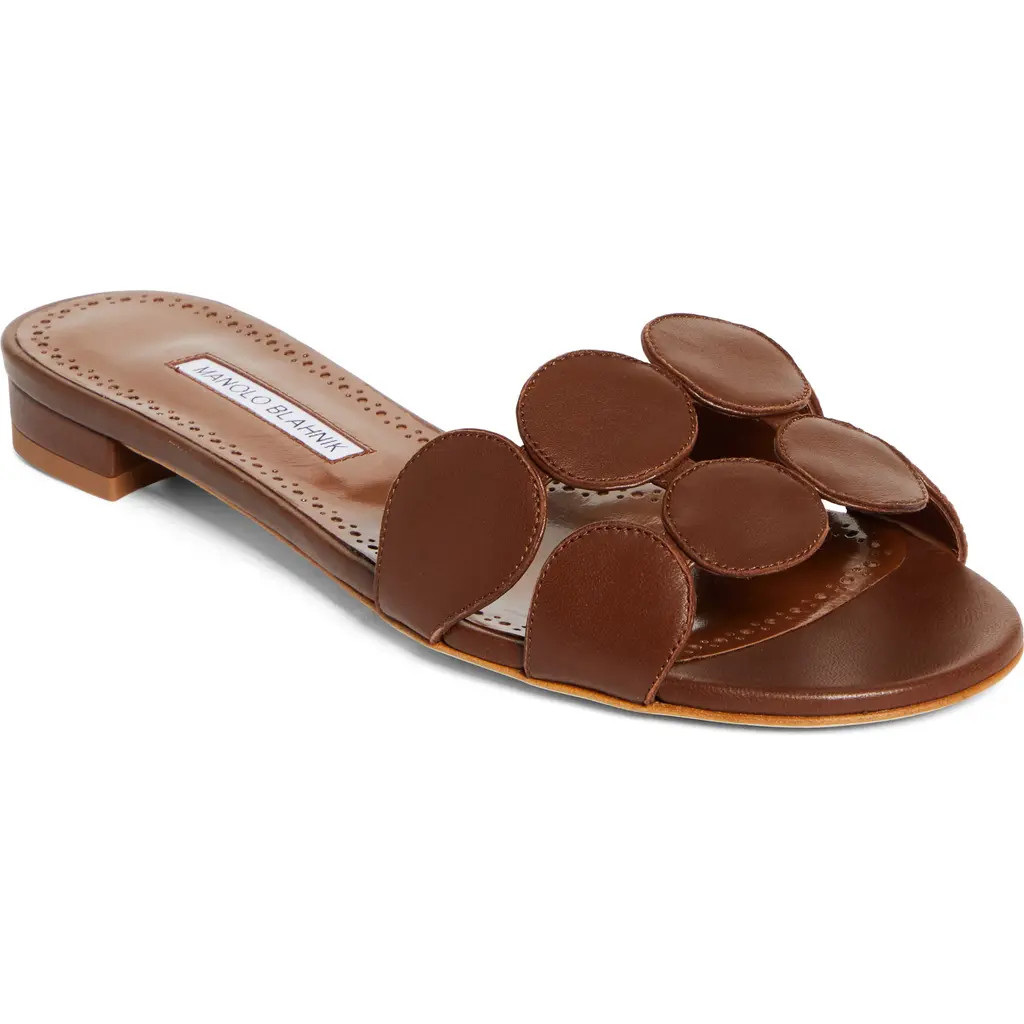 Manolo Blahnik Haribal Slide Sandal in Brown at Nordstrom, Size 8Us | Nordstrom