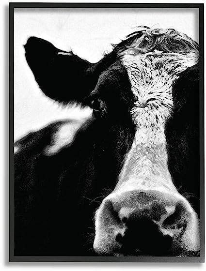 The Stupell Home Decor Collection Cow Black and White Close up Framed Giclee Texturized Art, Mult... | Amazon (US)