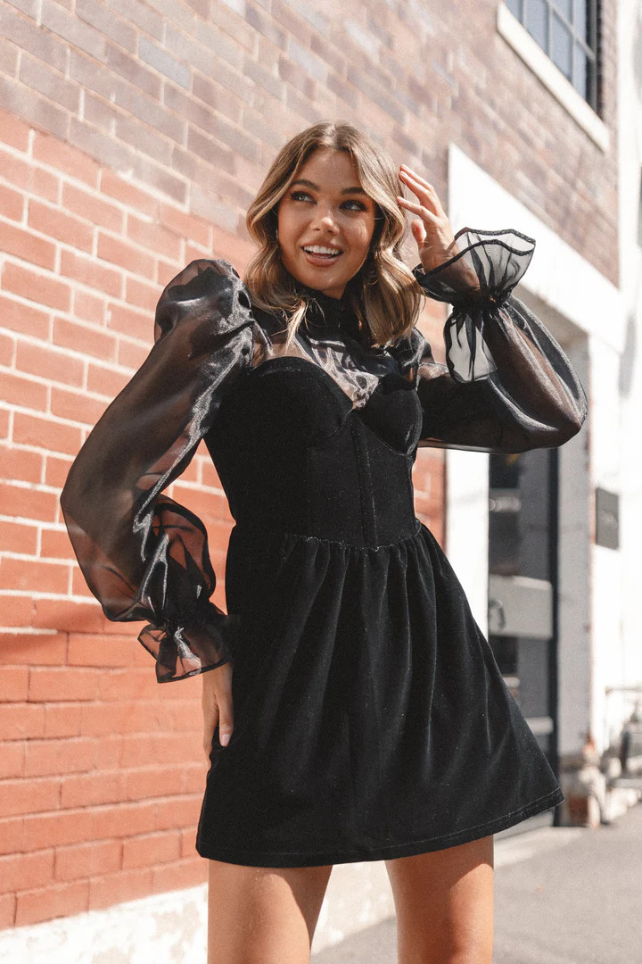 Blaire Long Sleeve Mini Dress - Black | Petal & Pup (US)