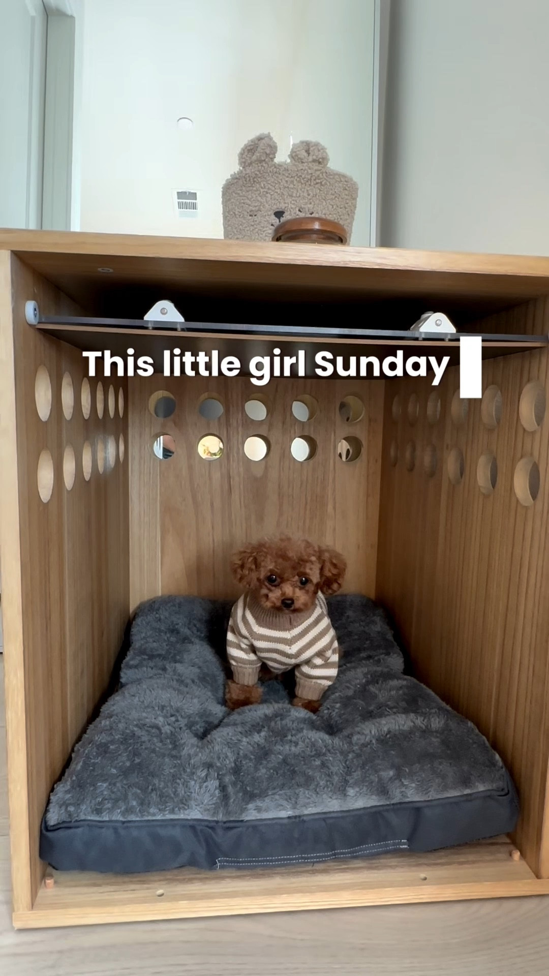 Modern dog crate furniture to match your home aesthetics 🤍

#LTKHome #LTKootd #LTKvlog