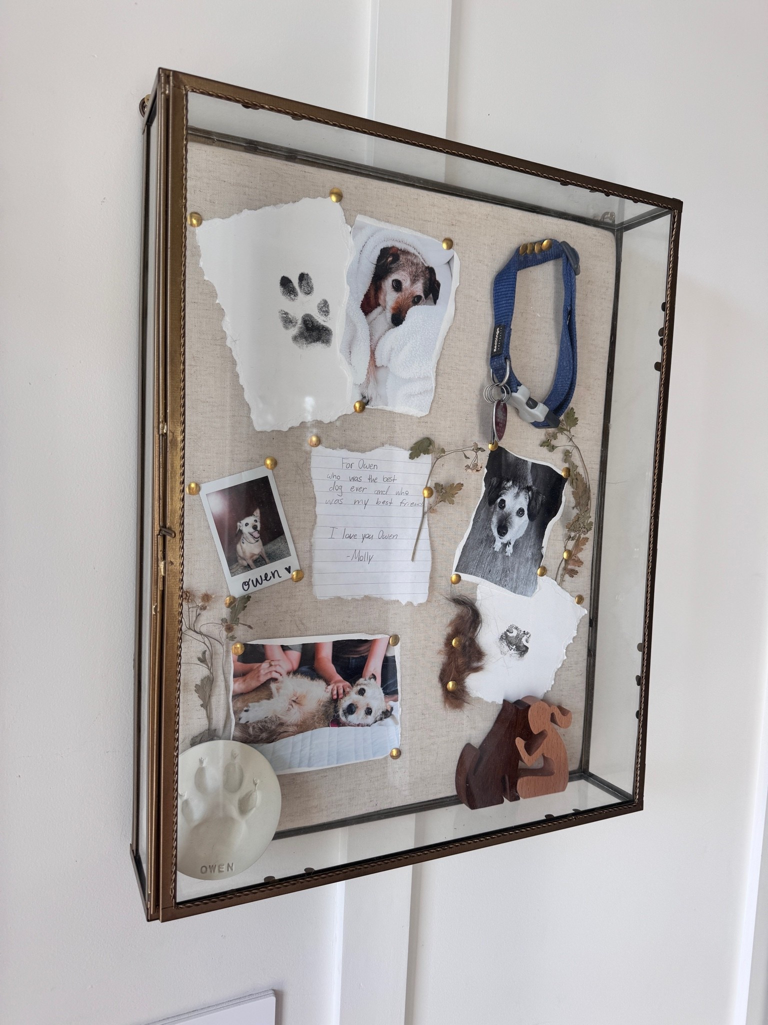 A lot of people have been asking for the link to the shadowbox. I used to make a memorial box for our sweet dog Owen. So sharing it here. ￼