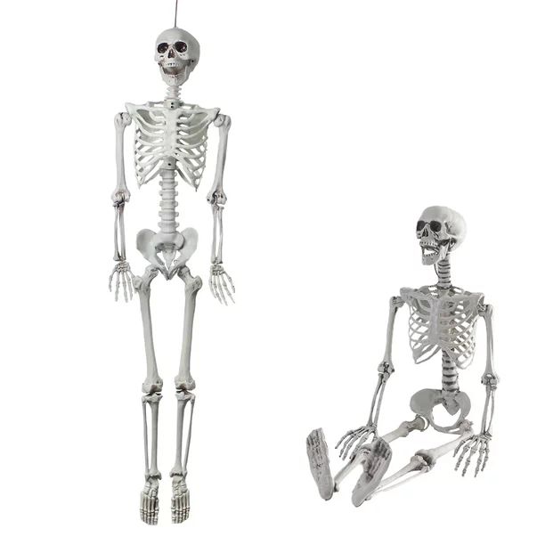 Fisca 5.6FT Plastic Halloween Poseable Skeleton, Life Size Halloween Party Decoration Bones - Wal... | Walmart (US)
