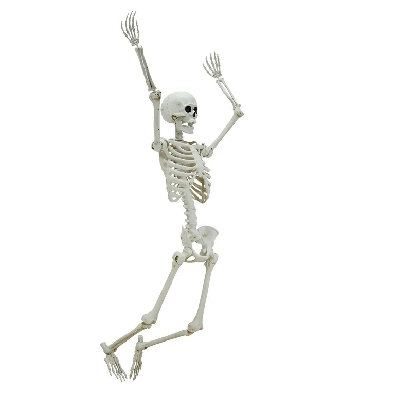 5ft White Poseable Skeleton Decoration, Halloween Outdoor Decor, by Way To Celebrate - Walmart.co... | Walmart (US)