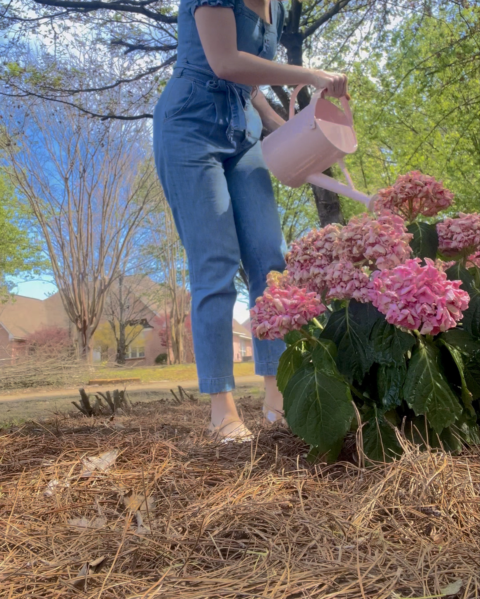 In my gardening girl era 👩🏼‍🌾🪴🌸🪻🌻
Now let’s see if we can bring my hydrangeas back to life with my favorite ✨cute✨ tools! 


#LTKSeasonal #LTKHome #LTKFindsUnder50