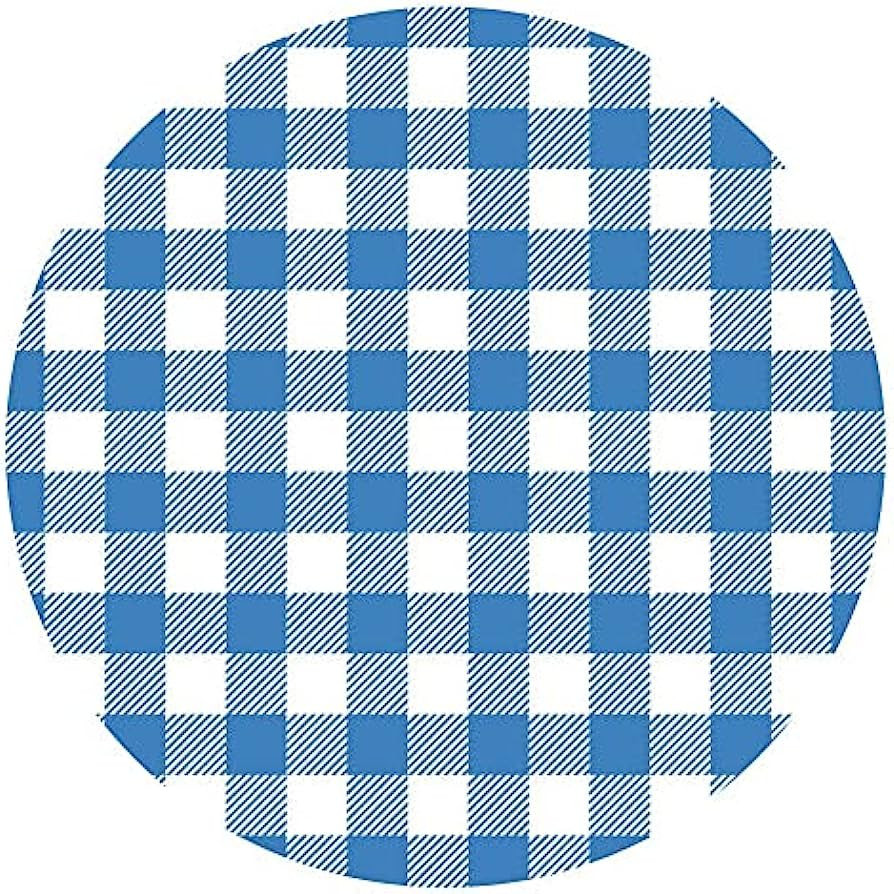 180D Reusable Blue & White Gingham Checkered Picnic/Dinner Plate, 9 Inch Melamine, Set of 5 | Amazon (US)