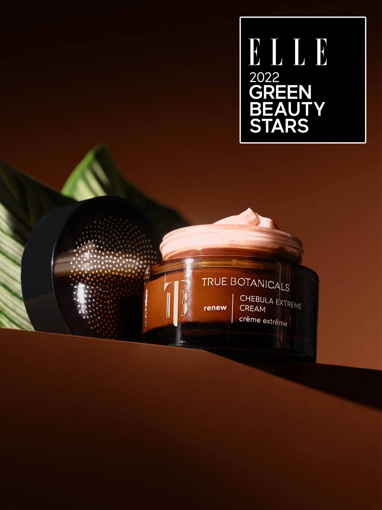 Chebula Extreme Cream | True Botanicals