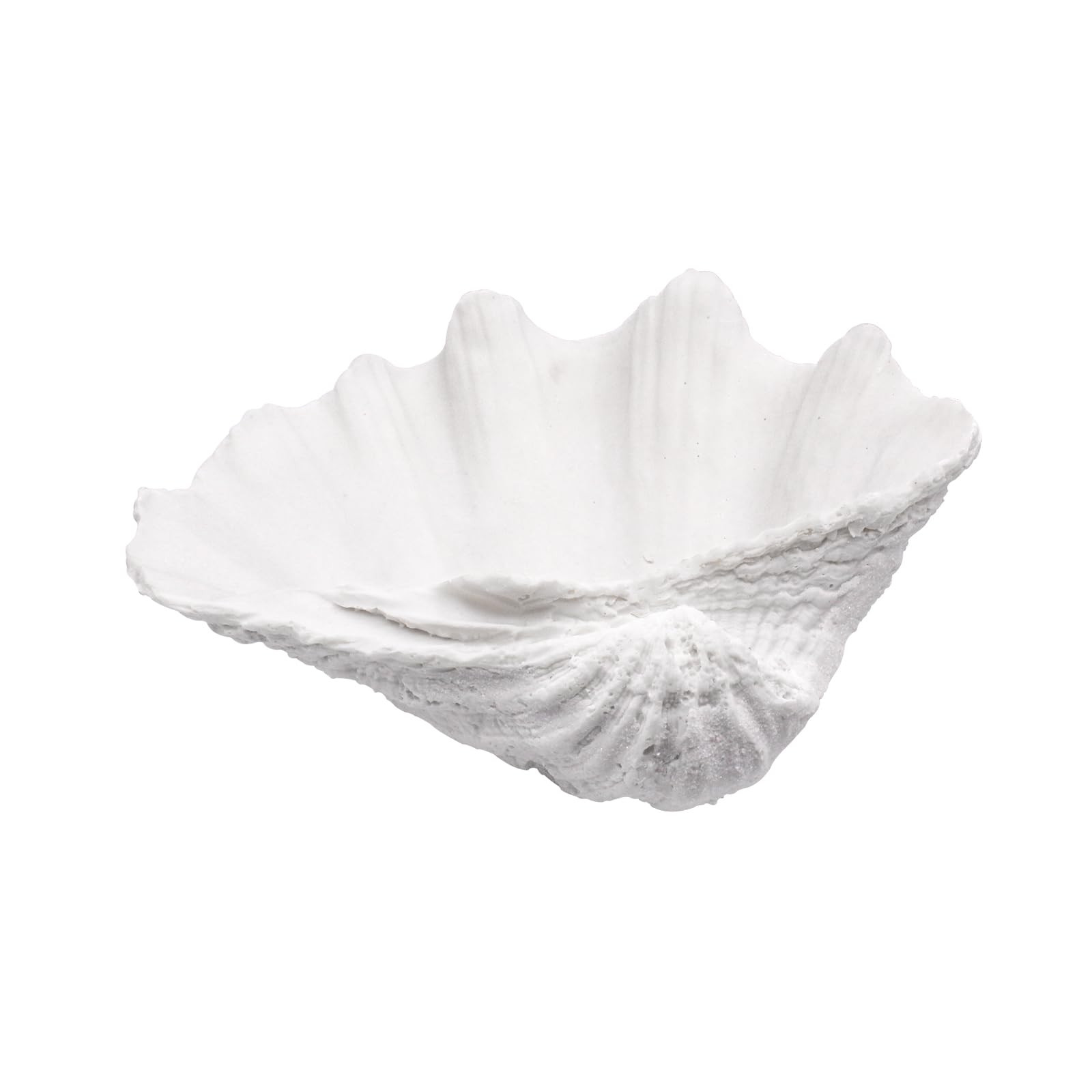 Medium White Scalloped Clam Shell Bowl Sea Shell Decor for Nautical Beach House,Coastal Decor Gif... | Amazon (US)