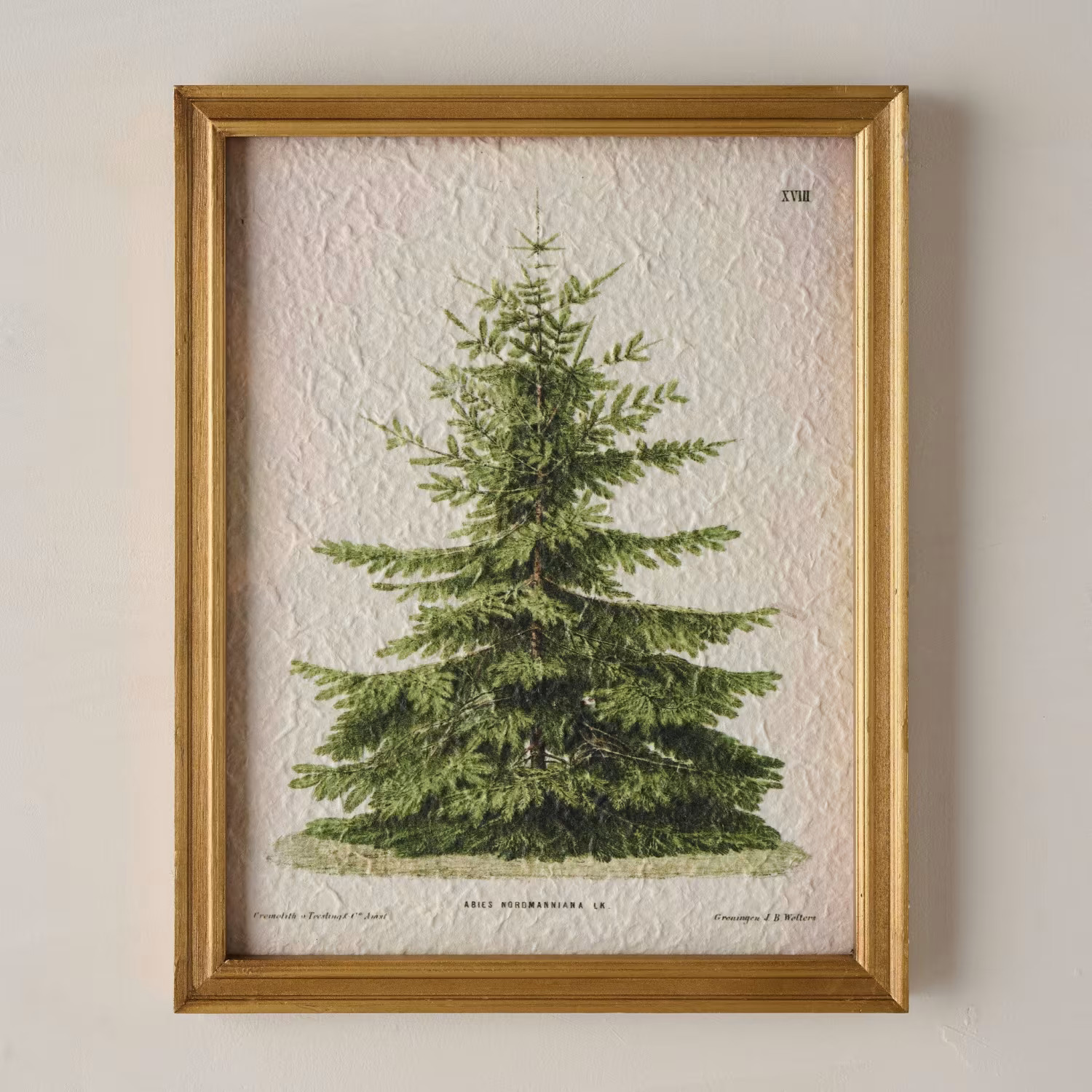 Vintage Christmas Fir Print | Magnolia