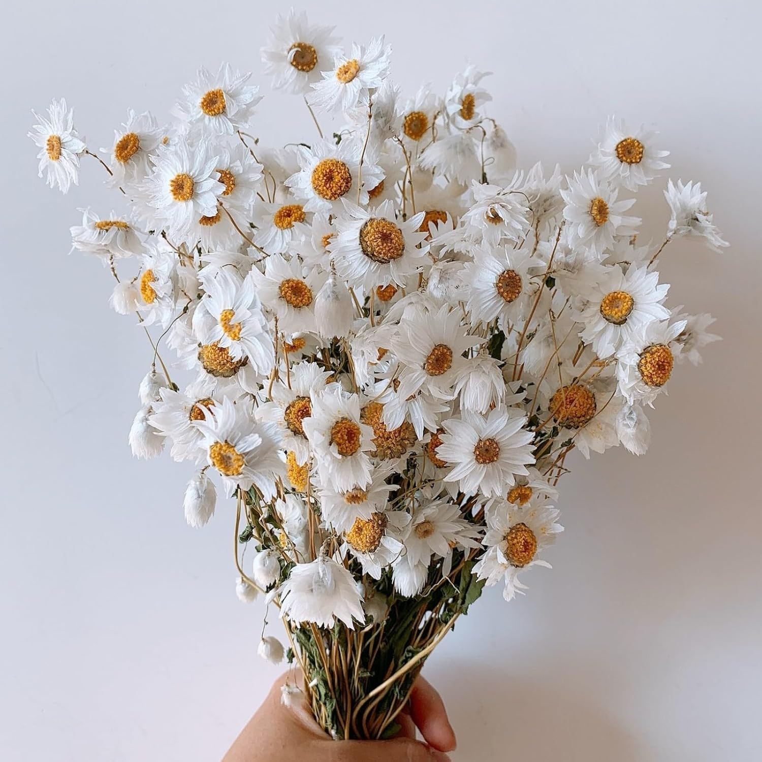 Dried Daisy Flowers Bouquet, 150+ Dry White Flowers, Artificial Sunflowers, 17'' Natural Gerber D... | Amazon (US)
