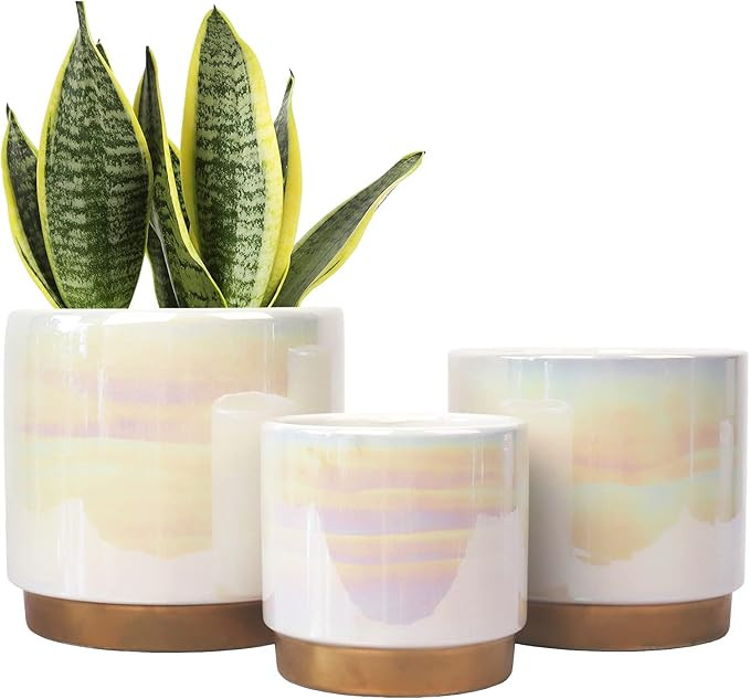 Amazon.com : White Indoor Pots for Plants, Ceramic Planter with Drainage Hole, 6.0 inch+5.0 Inch+... | Amazon (US)