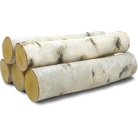 Wilson Decorative White Birch Logs, Natural Bark Wood Home Décor - 15.5-17.5" in Length 1.5"-4" ... | Amazon (US)