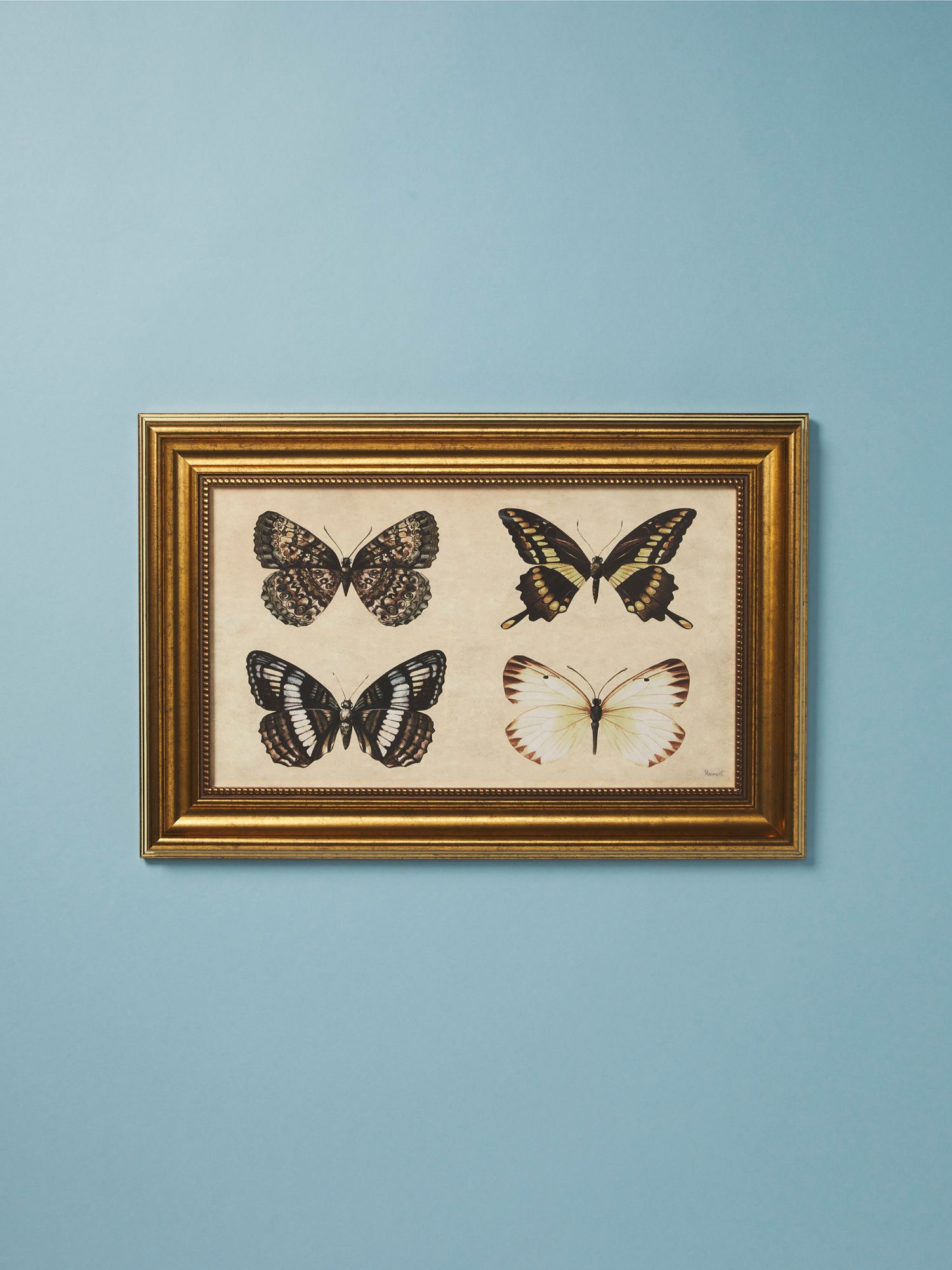 12x18 Butterflies Framed Wall Art | Living Room | HomeGoods | HomeGoods