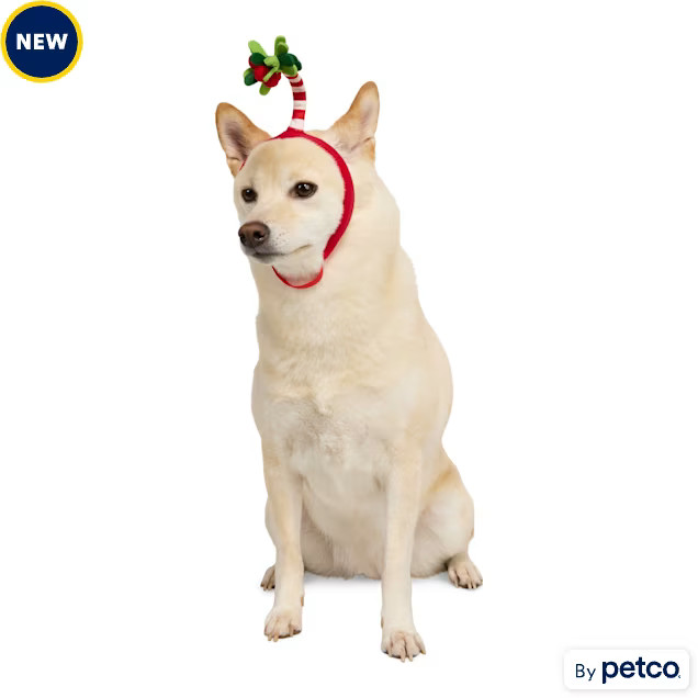 Merry Makings Mistletoe Costume Pet Headband, Small/Medium | Petco