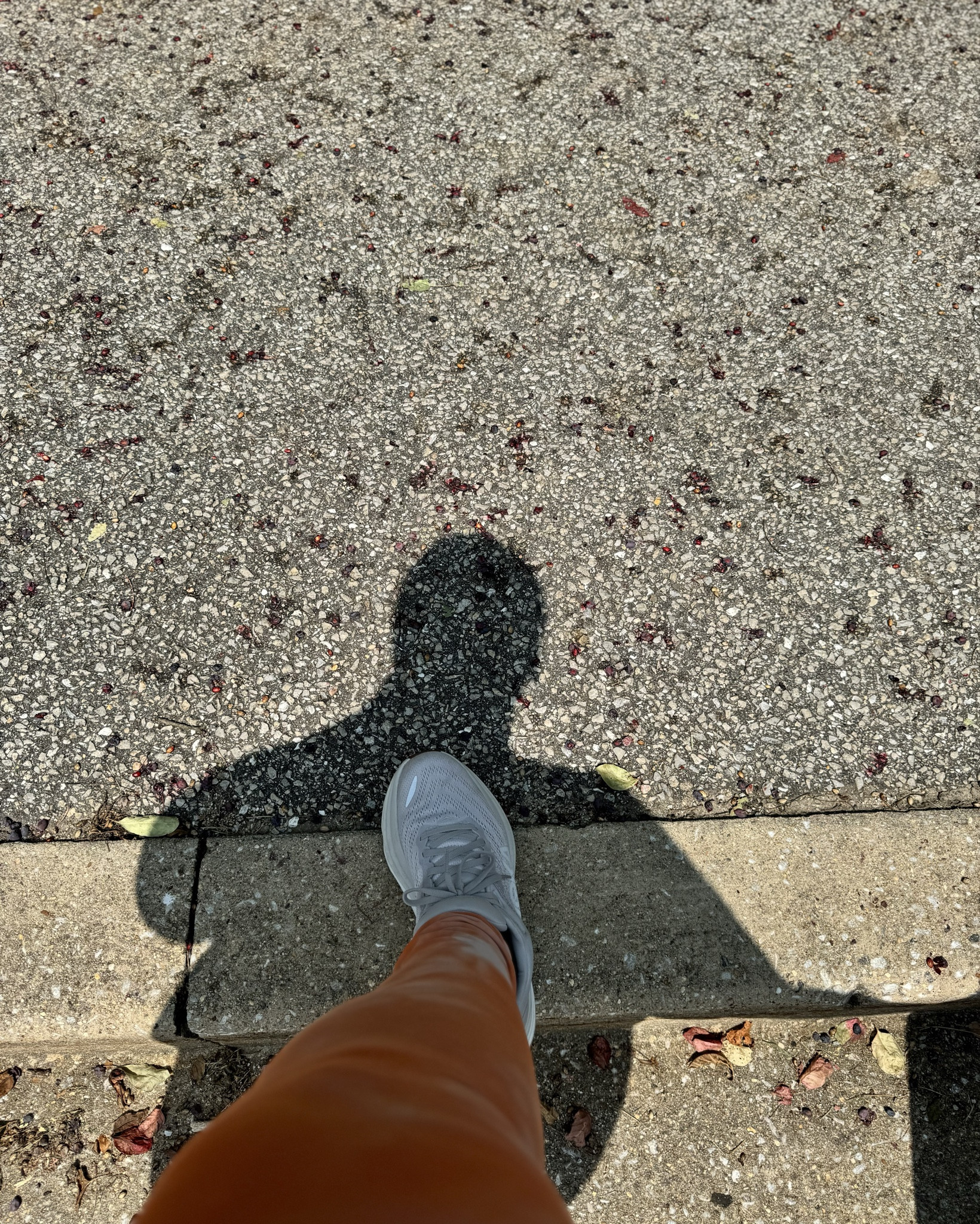 Best walking shoes !

#LTKVideo #LTKStyleTip #LTKPlusSize