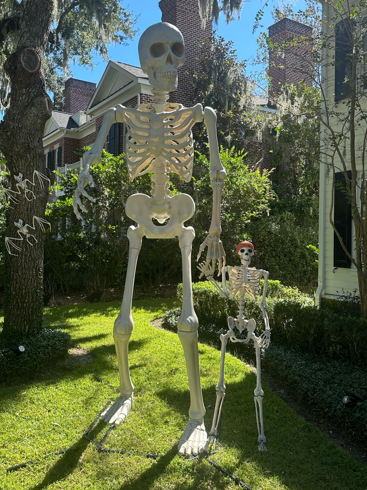 So you can’t get the viral 12ft skeleton?! 

Why not get the Walmart 10ft skeleton!!! ☠️💀 I can’t tell you have many of my neighbors are asking about this one! 

#LTKHalloween #LTKHolidaySale #LTKHoliday