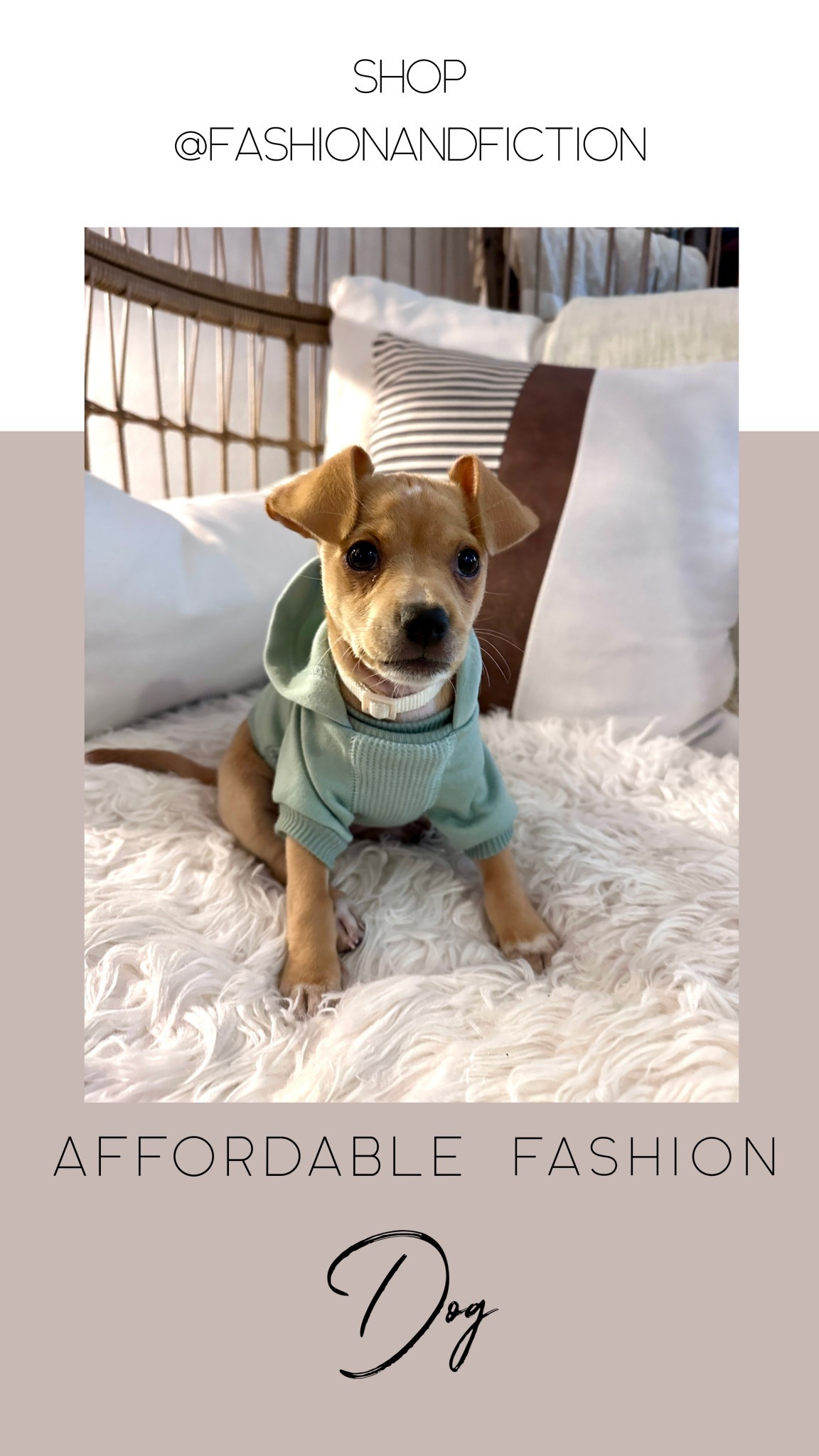 Cutest cuddly hoodie for those casual days. Daisy weighs 4lbs and is wearing size xs. #ltkdog