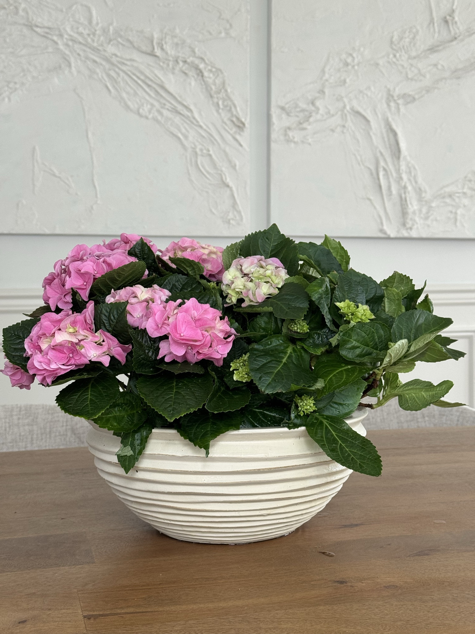Walmart planter spring centerpiece

#walmart #planter #spring #springdecor

#LTKSaleAlert #LTKHome #LTKSeasonal