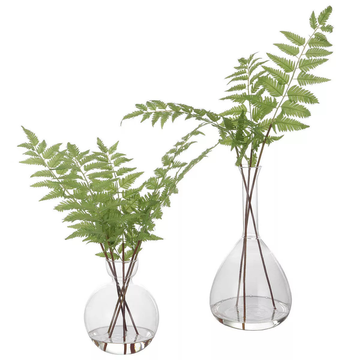 Uttermost Country Ferns 2-Piece Set | Kohl's