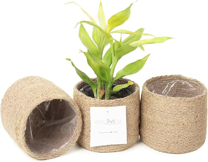 Jute Planter Basket-Woven Jute Rope Covers for Decorating Indoor/Outdoor Succulents, Small Plant ... | Amazon (US)