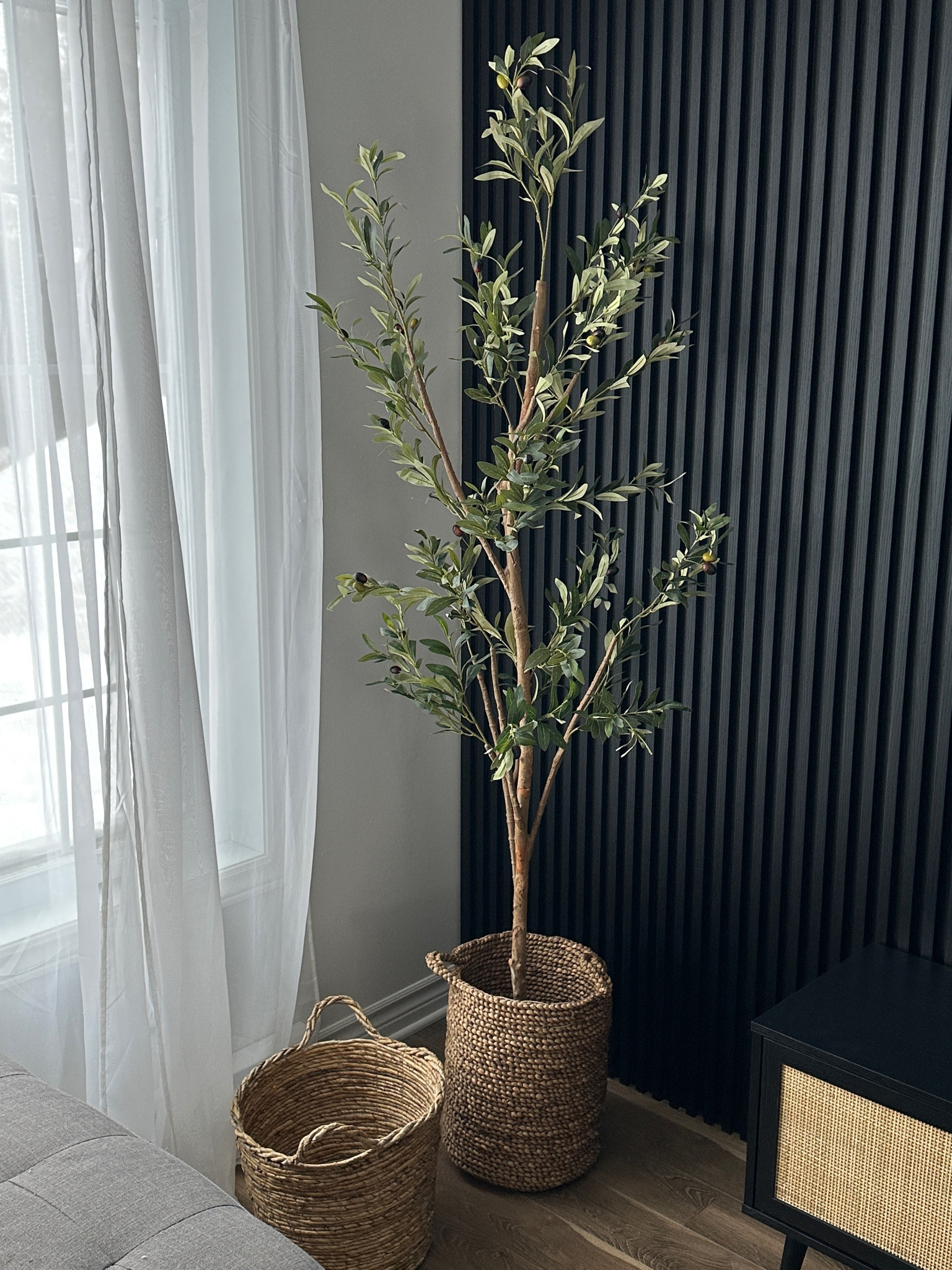 In love with this new addition in my living room 🌱🫒 

I found it on Amazon Canada ✨

#LTKMostLoved #LTKhome