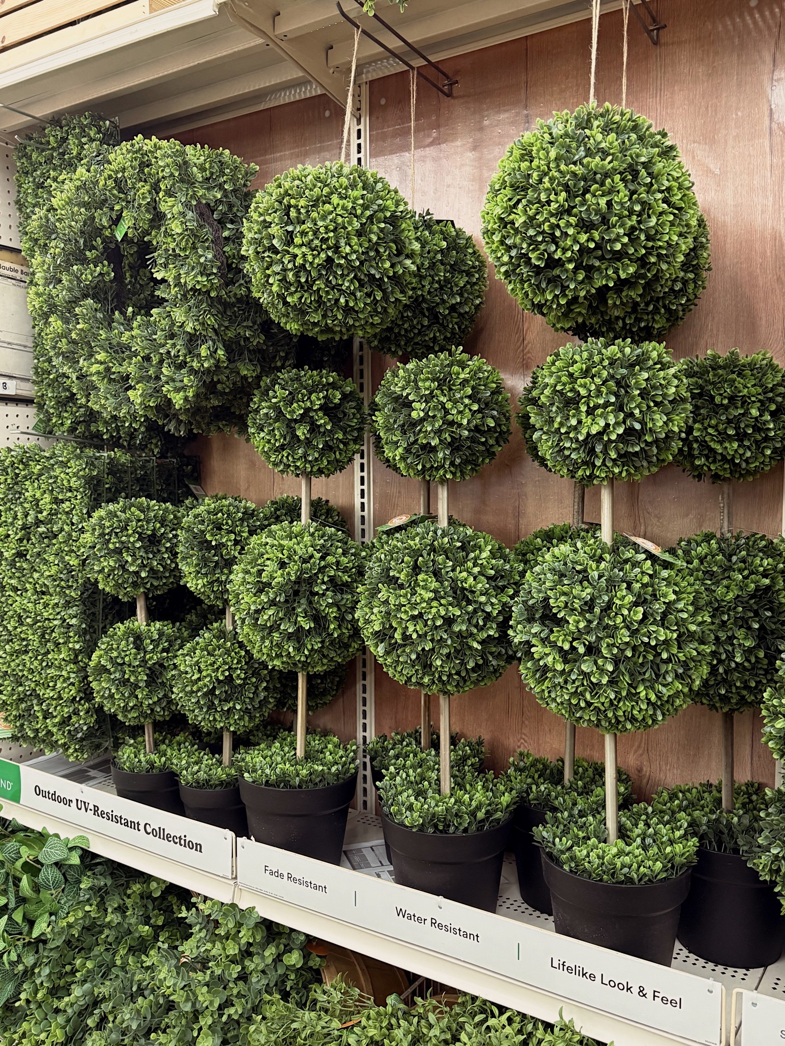 Boxwoods at Michael’s 🫶🏼🫶🏼🫶🏼

#LTKSeasonal #LTKHome