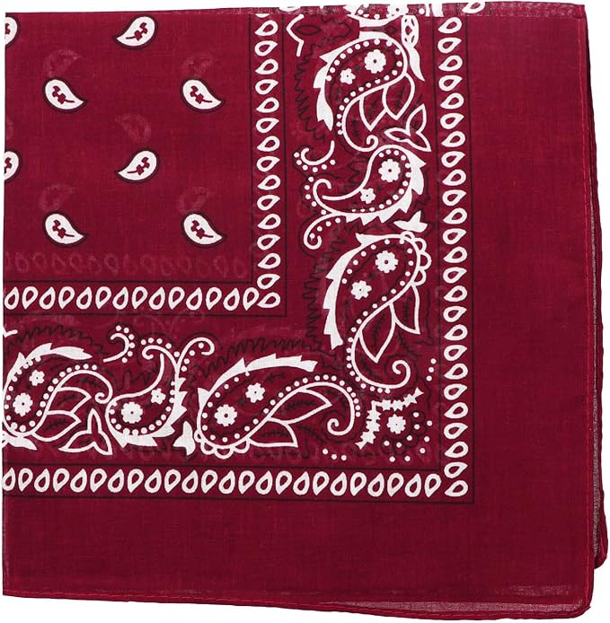Motique Accessories 22 Inch Cotton Paisley Bandana | Amazon (US)