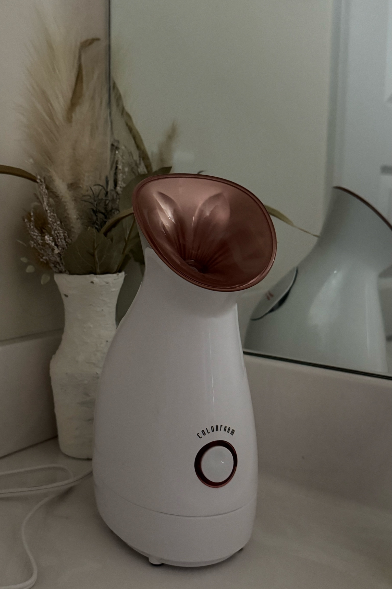 Facial steamer nano-ionic steam 

#LTKBeauty #LTKFindsUnder50 #LTKGiftGuide