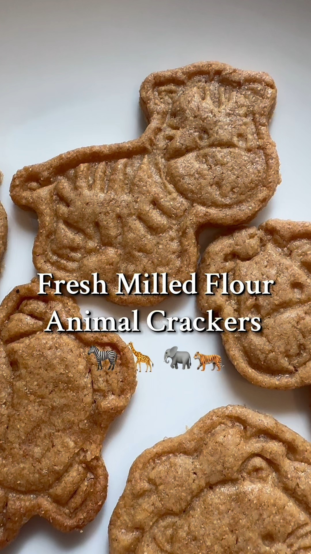 Animal graham crackers  

#LTKHome