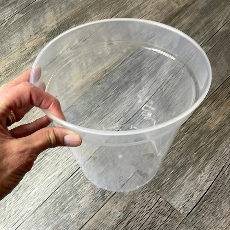 8” large round ultra clear orchid pot, Clear plastic pot, Plastic flower pot for orchids, Clear... | Etsy (US)