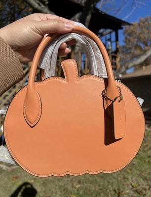 Coach Pumpkin Runway Zipper Leather Crossbody Bag Brass/Faded Orange CU868 | eBay US