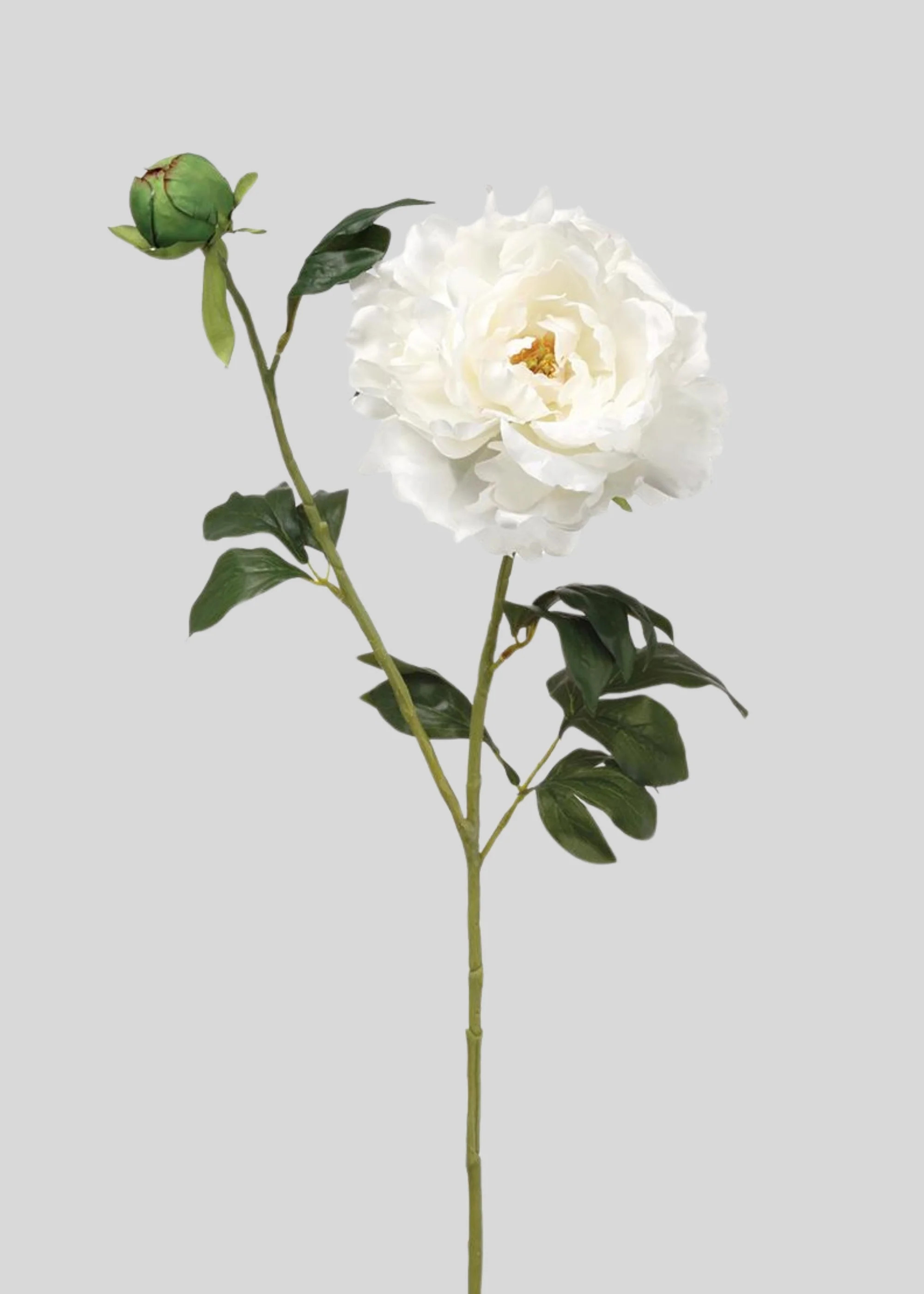 White Fake Flower Peony - 31 | Afloral