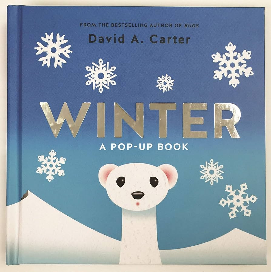 Winter: A Pop-up Book (Seasons Pop-up) | Amazon (US)