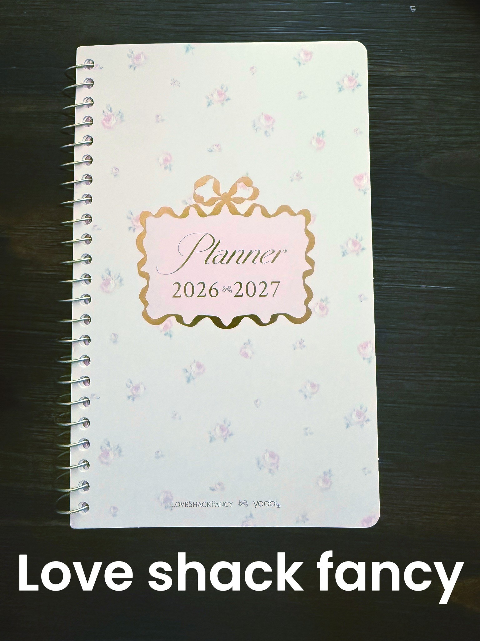 The cutest planner by Love Shack Fancy😍💕

#LTKdayinmylife #LTKmomlife #LTKmorningroutine