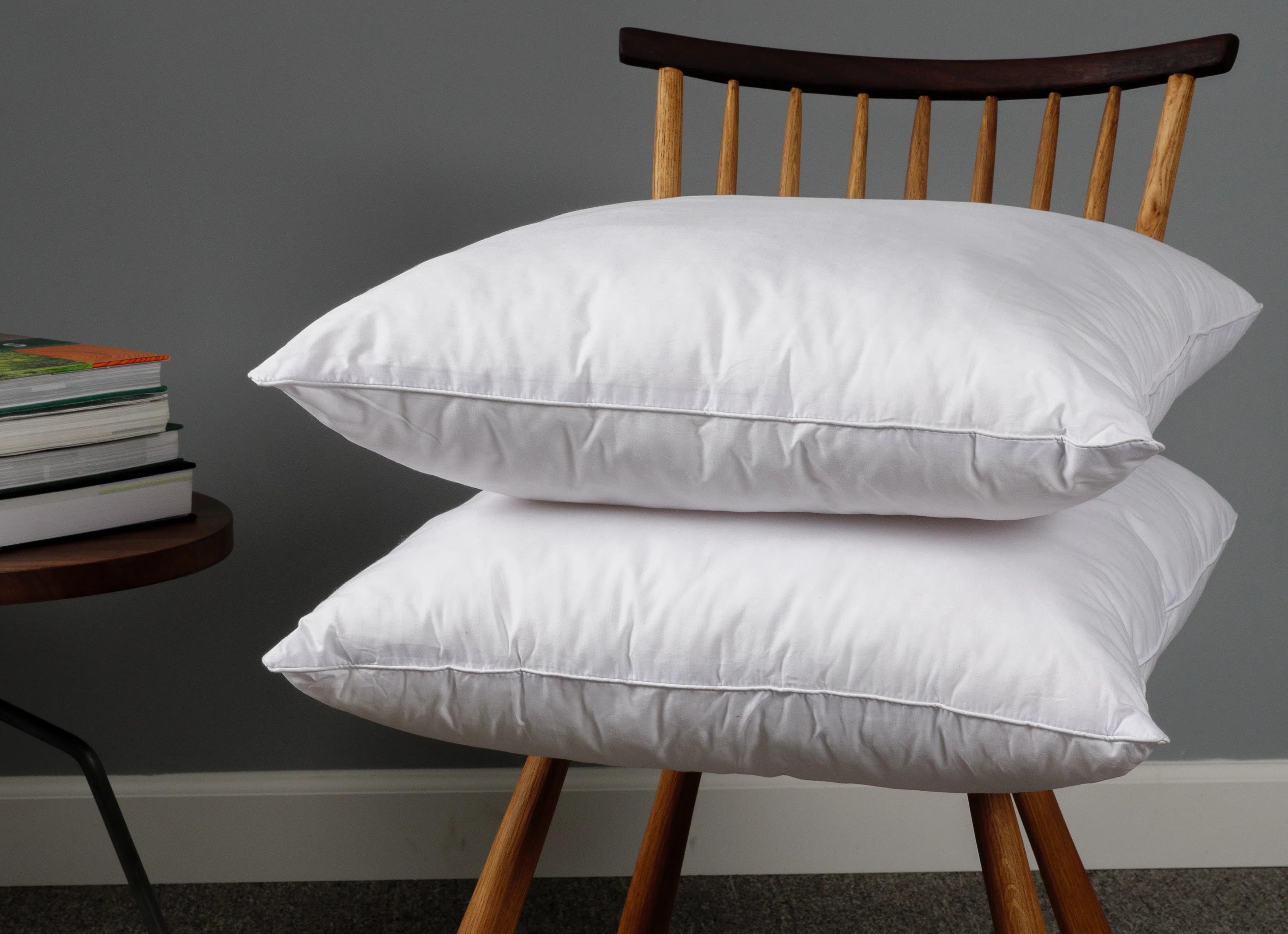 Wayfair Basics® Didomenico Pillow Insert (Set of 2) | Wayfair North America