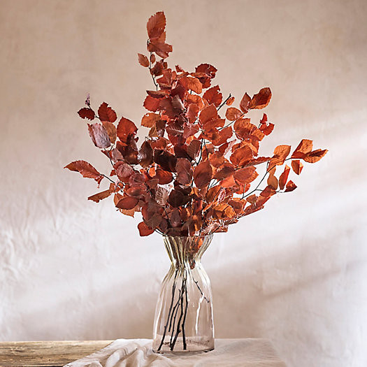 Preserved Beech Leaf Bunch | Terrain