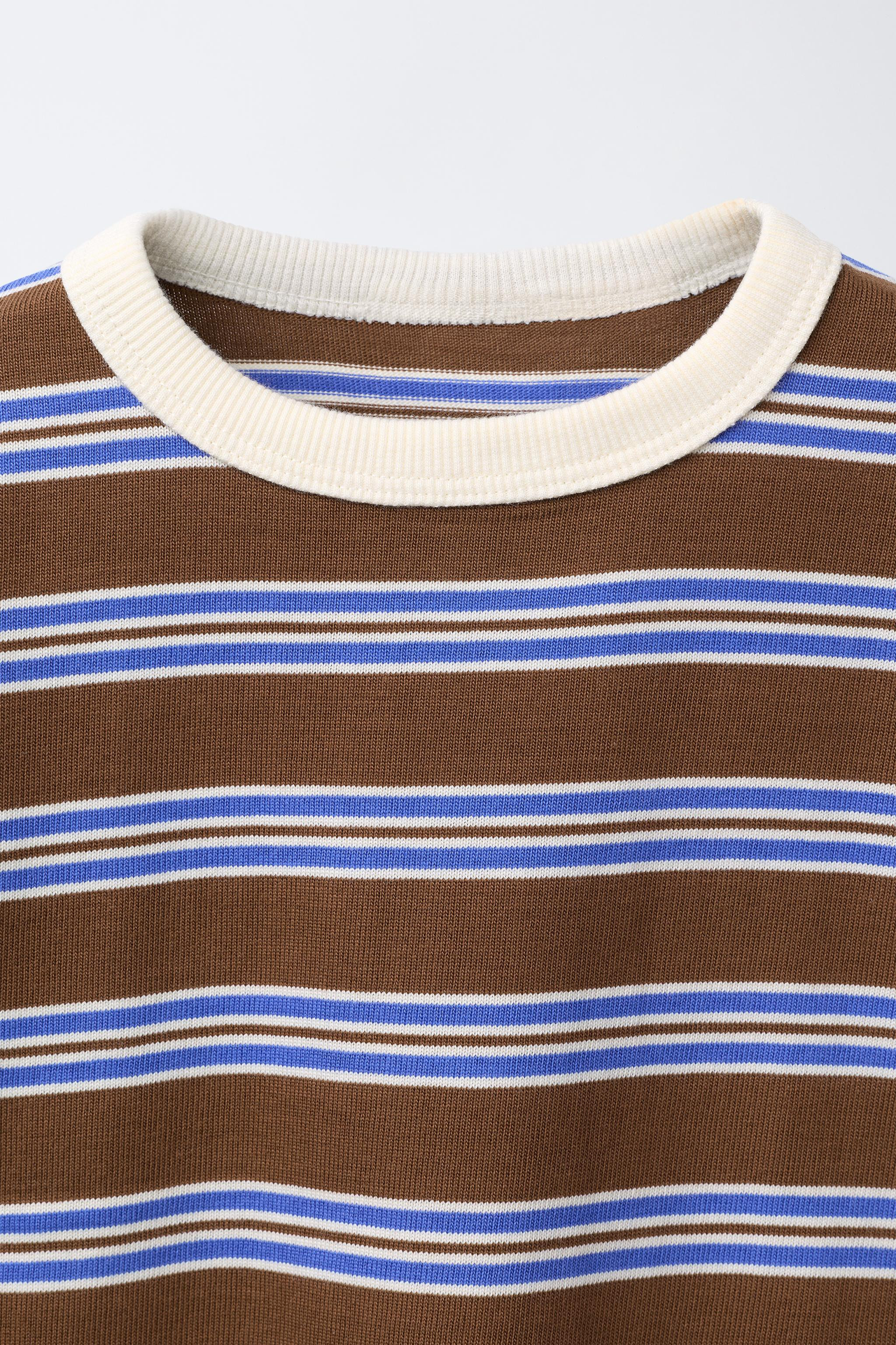 HEAVYWEIGHT STRIPED T-SHIRT | Zara Canada
