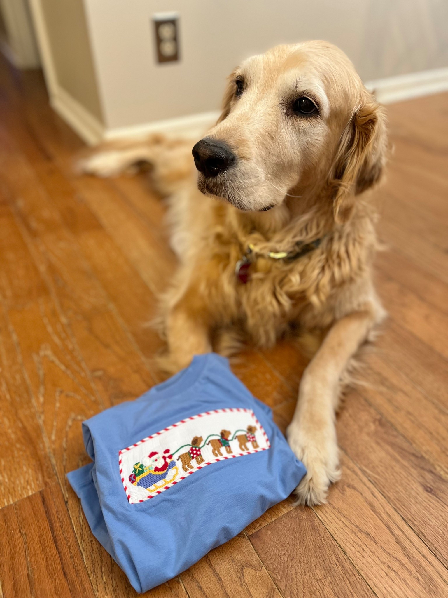 The sweetest Christmas top for kids—Santa’s sleigh pulled by puppies.

#LTKPets #LTKKids #LTKFamily