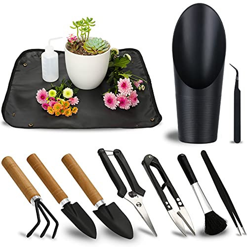 11Pcs Succulent Tools,Mini Garden Tools,Succulent Watering Tool as Plant Accessories,Succulent Gardending Hand Tools Kit for Seedling Soil,Caring Succulent,Houseplant,Gifts for Woman (No Flowerpot) | Amazon (US)