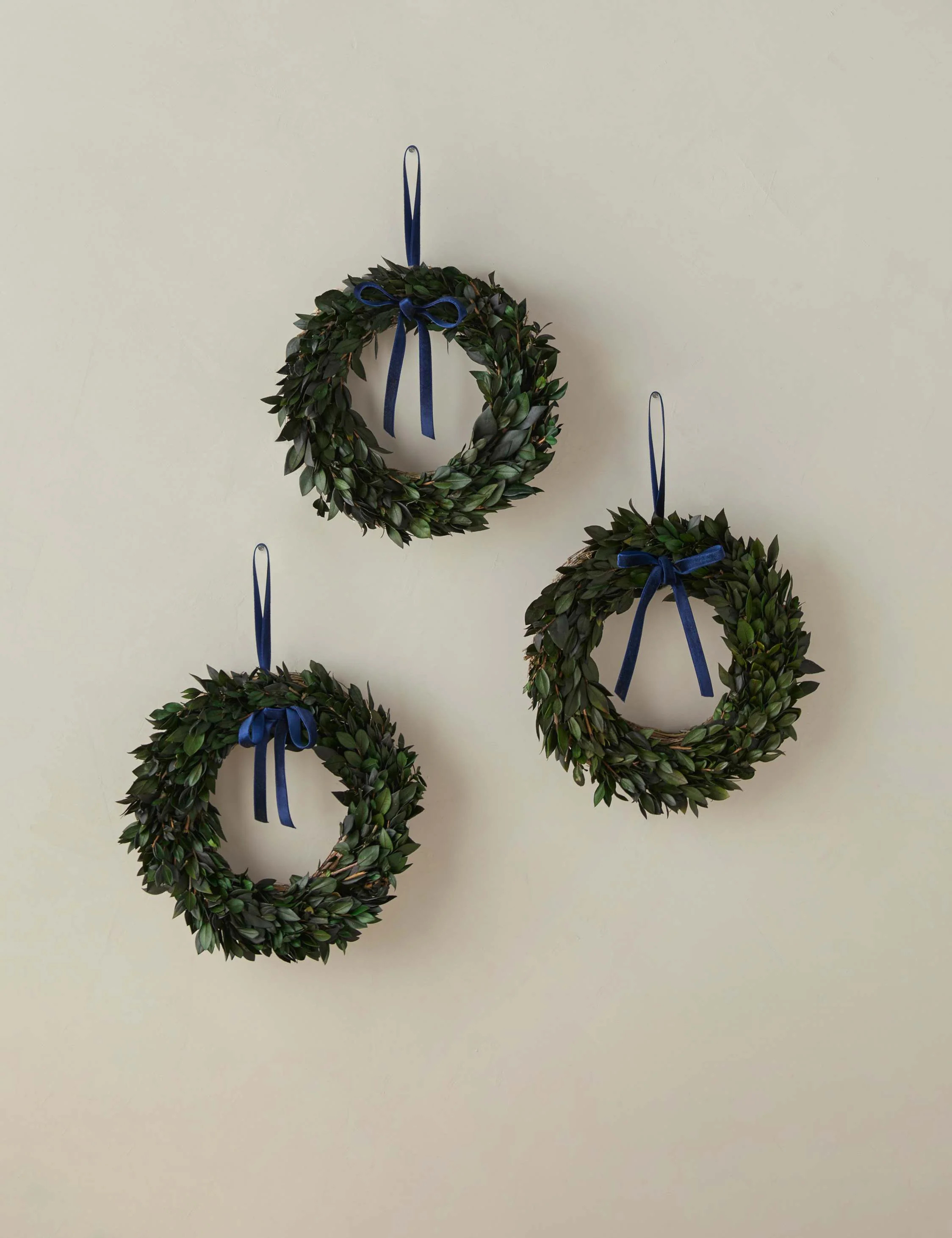 Preserved Mini Myrtle Wreaths with Velvet Ribbon (Set of 3) | Lulu and Georgia 