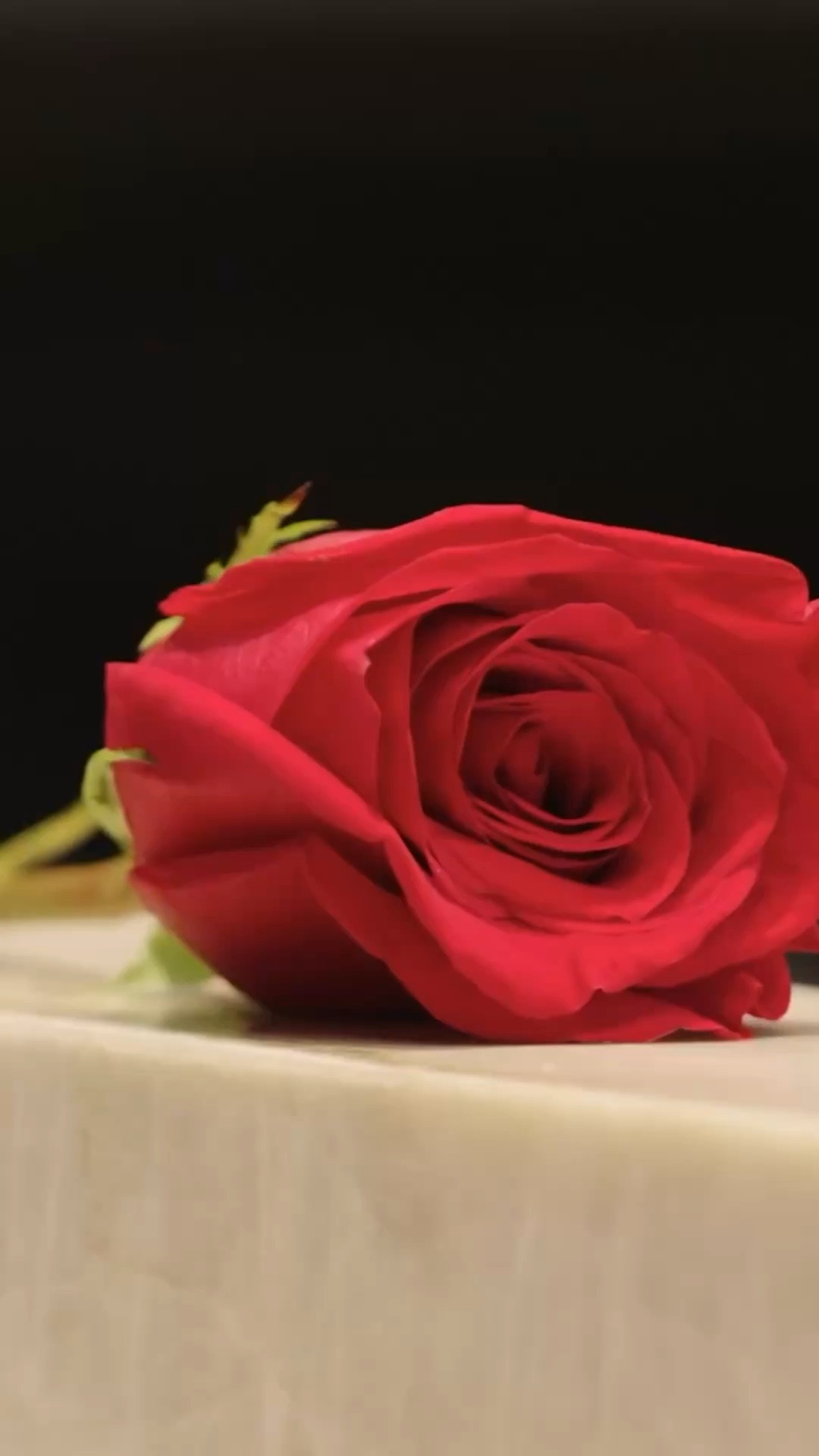 What’s your best relationship advice? 👀🌹

#LTKvlog #LTKootd