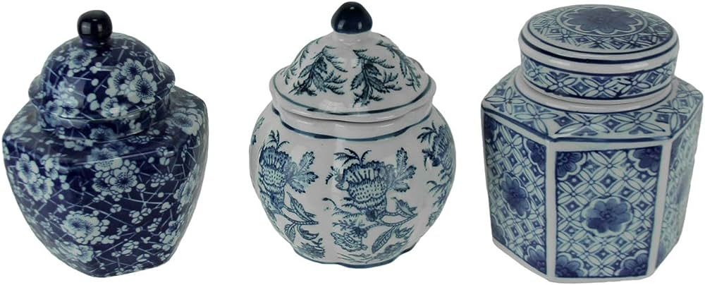 A&B Home 5" Decorative Porcelain Jars Set of 3 Glazed Hand Painted Blue White Ceramic Vase with L... | Amazon (US)