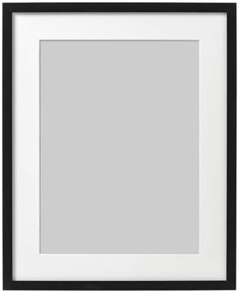 IKEA Ribba Frame Black 303.784.30 Size: 16x20" | Amazon (US)