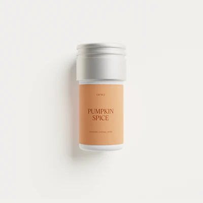Pumpkin Spice Mini | Aera For Home